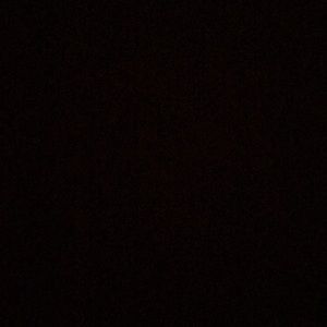 Meet your Posher, Michaela